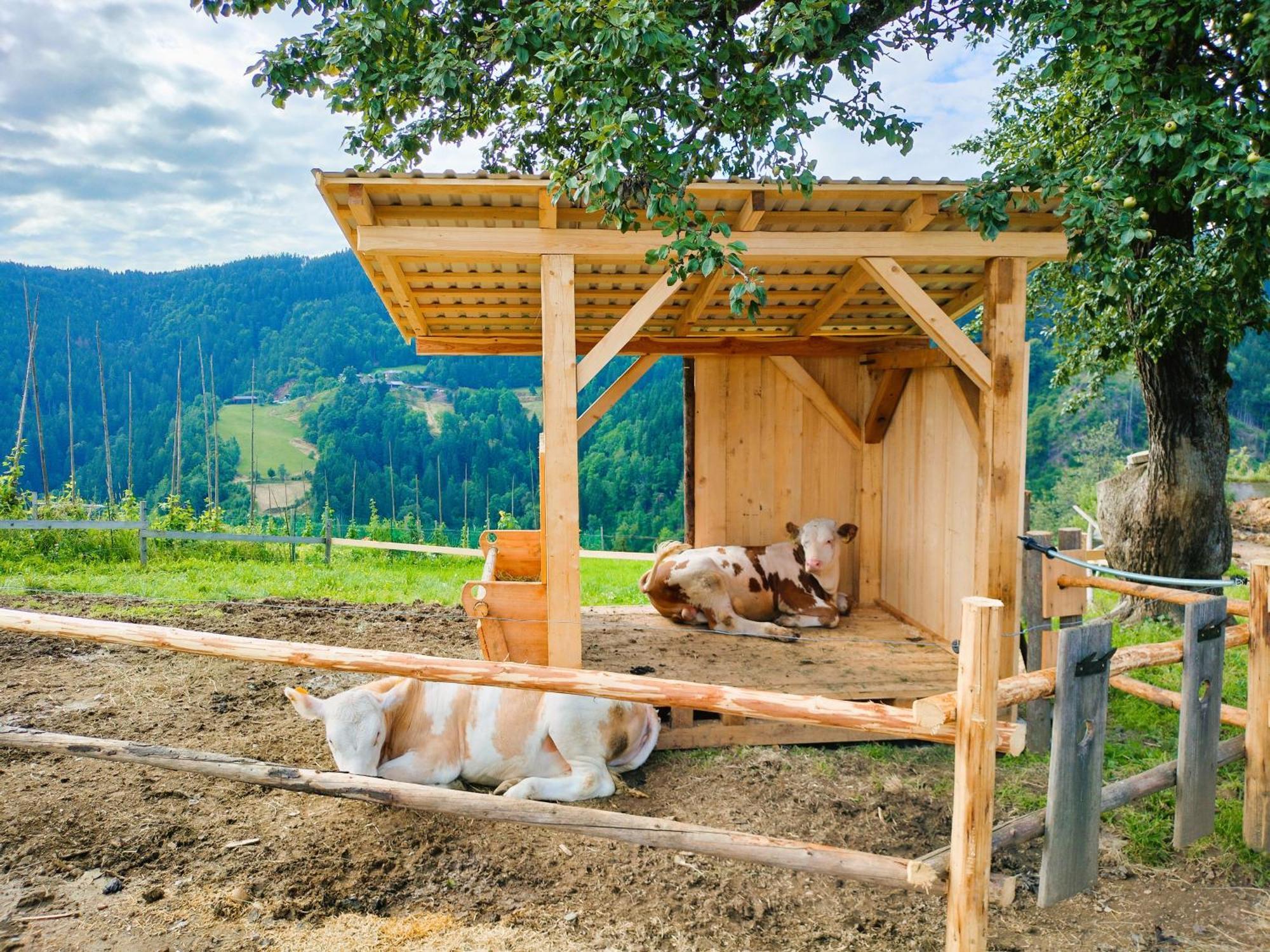 Apartments Organic Tourist Farm Gradisnik Prevalje Luaran gambar