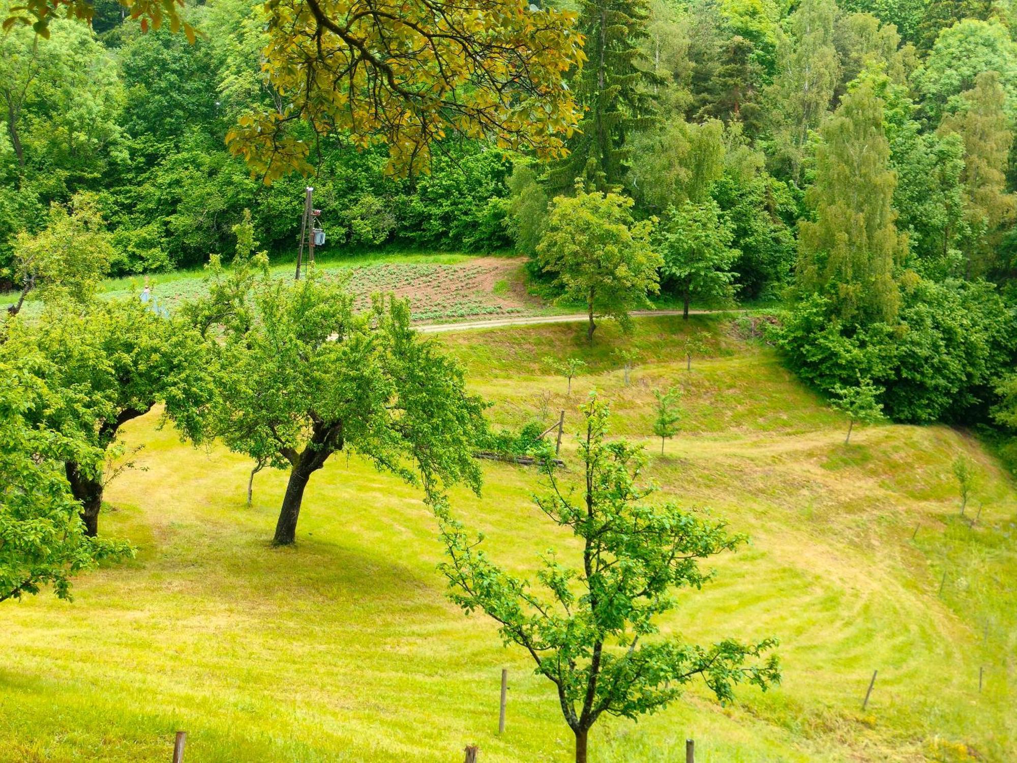 Apartments Organic Tourist Farm Gradisnik Prevalje Luaran gambar