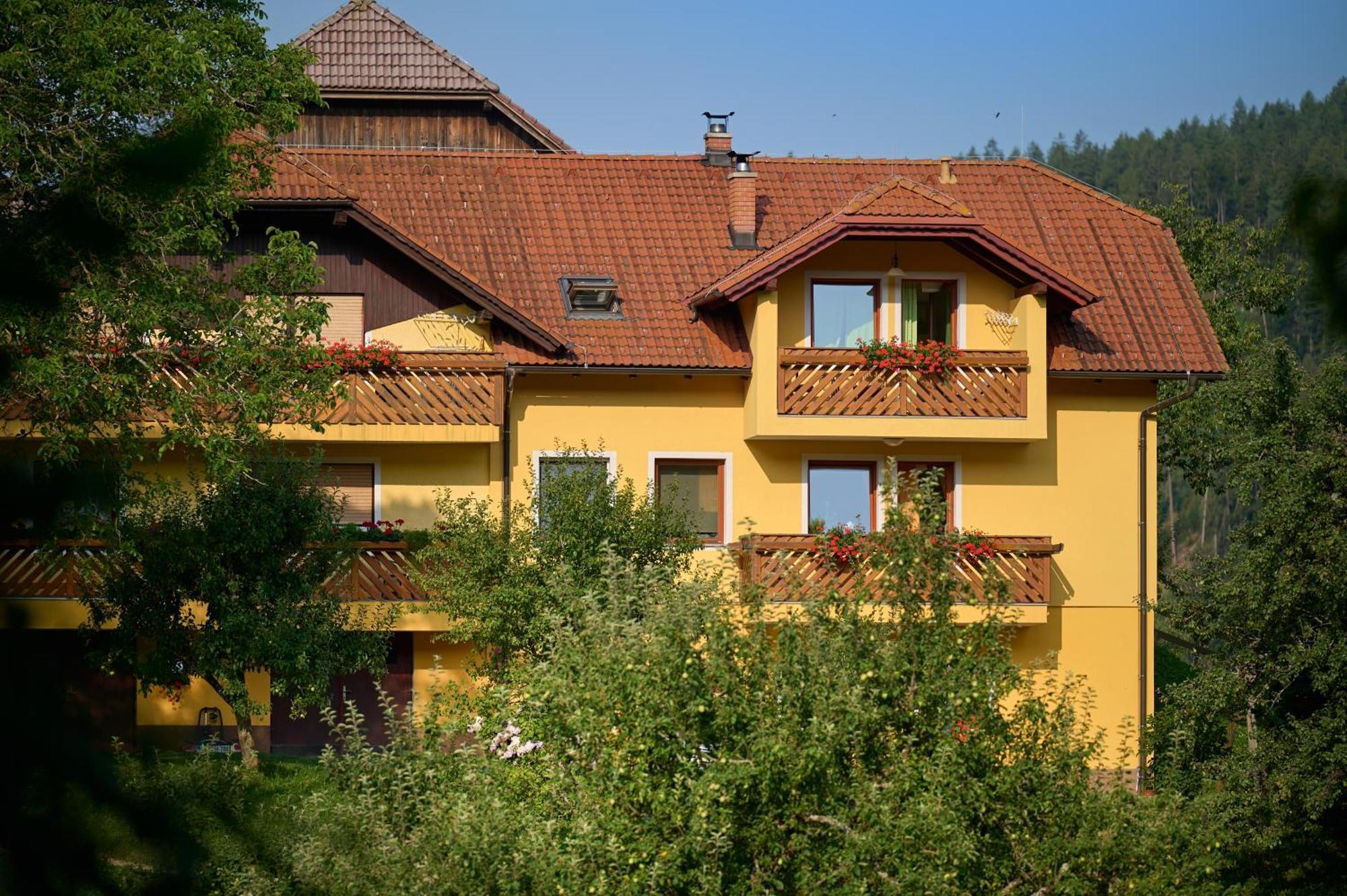 Apartments Organic Tourist Farm Gradisnik Prevalje Luaran gambar