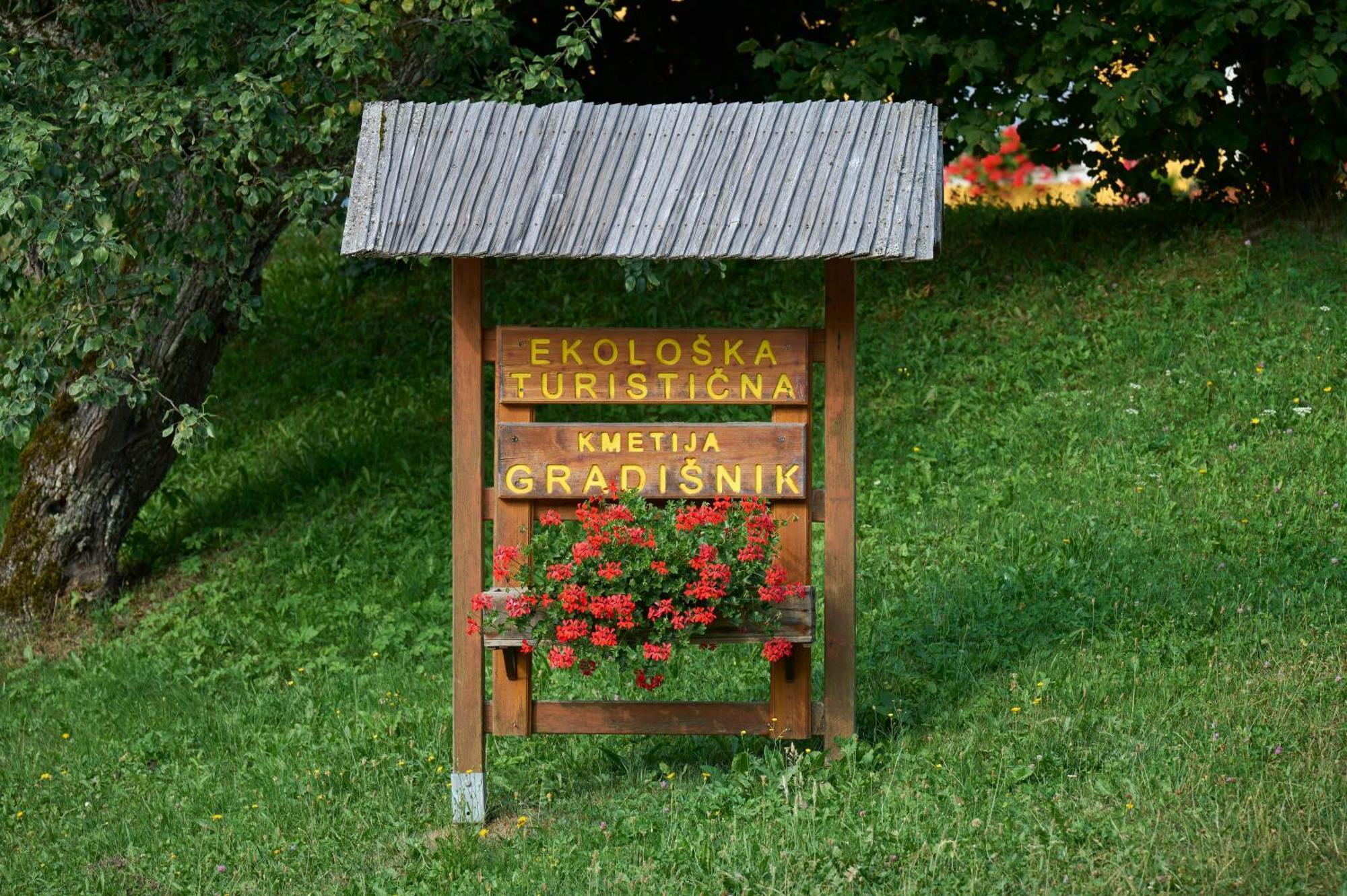 Apartments Organic Tourist Farm Gradisnik Prevalje Luaran gambar