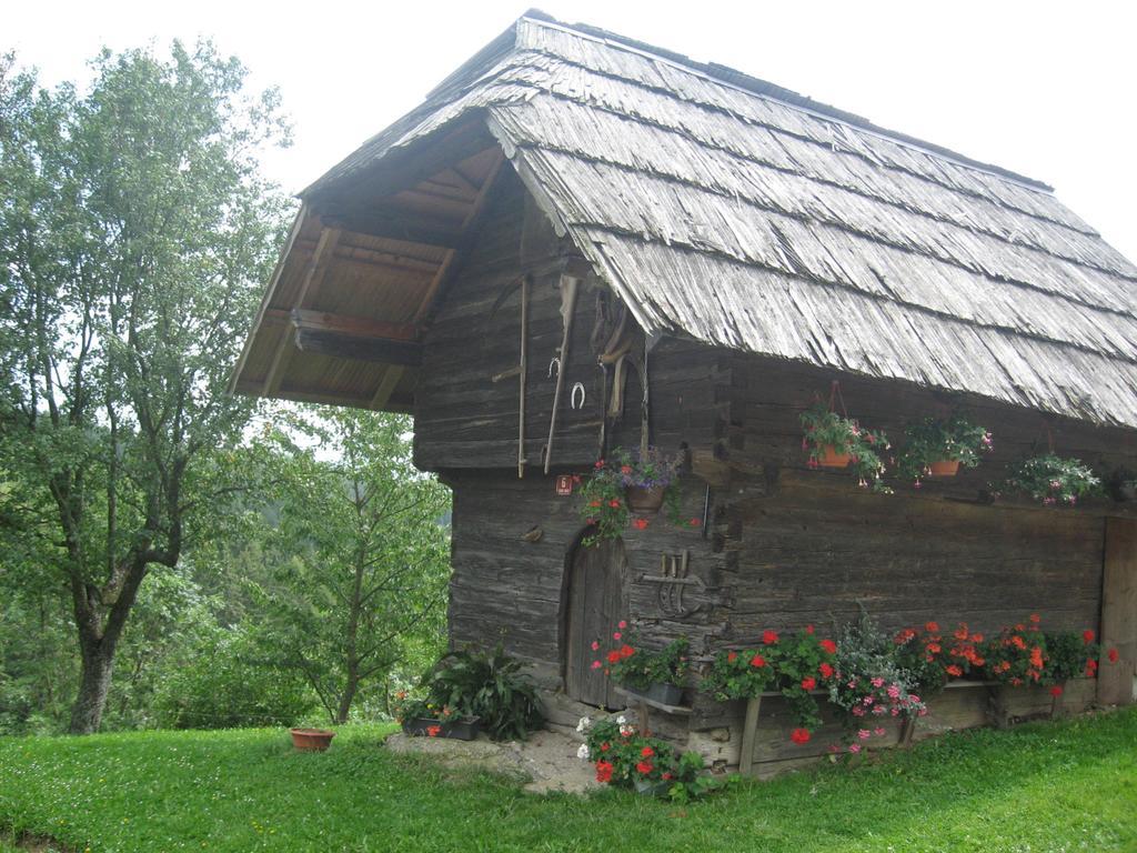 Apartments Organic Tourist Farm Gradisnik Prevalje Luaran gambar