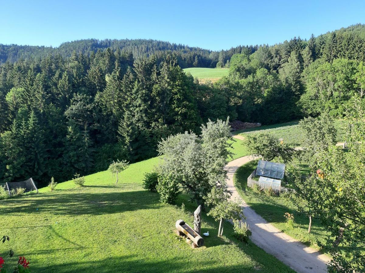 Apartments Organic Tourist Farm Gradisnik Prevalje Luaran gambar